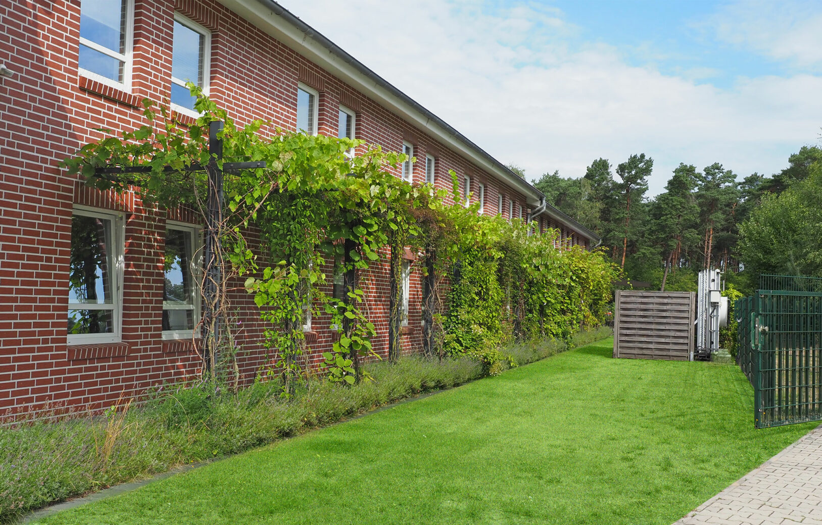 Pergola zur Beschattung und für die Insekten 2022